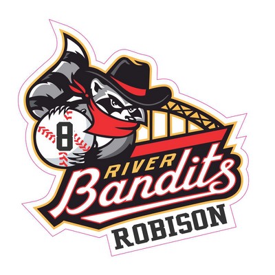 Decal-Clear Sign Vinyl. Custom Shape-Size (White Ink Behind To Create Graphics That Pop!)