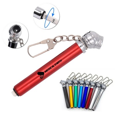 Mini Tire Gauge Key Chain