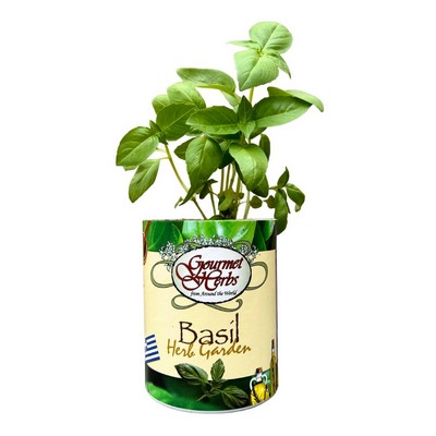 Basil Garden in Eco-Friendly Grocan